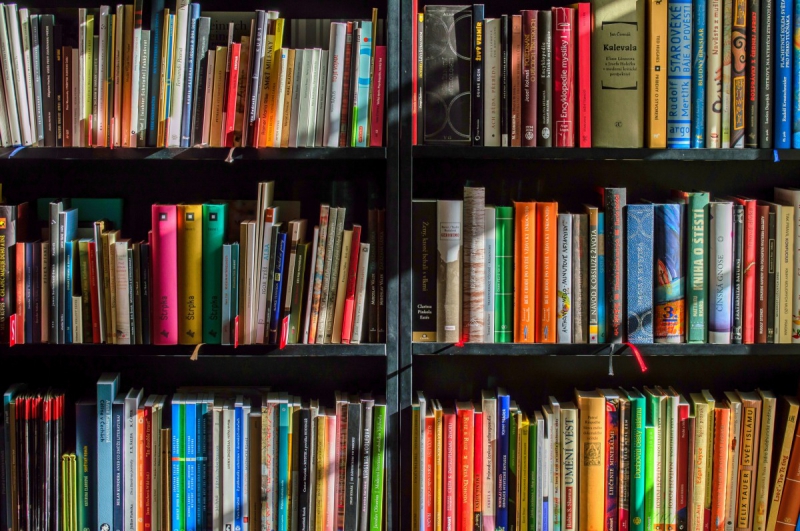 boutique-ST CEZAIRE SUR SIAGNE-min_books_bookstore_book_reading_shop_writer_sale_books_read-822866